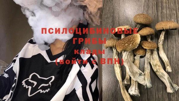 МДМА Алексин