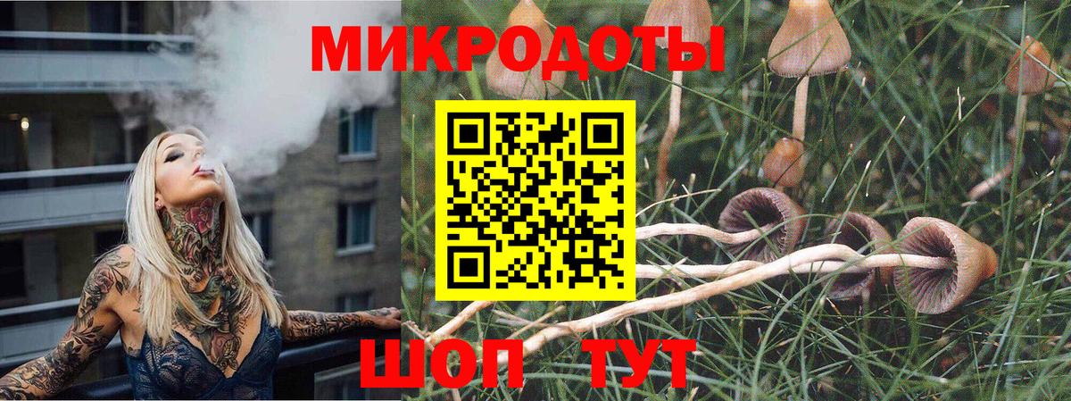 Галлюциногенные грибы мицелий  Вход с VPN  Галлюциногенные грибы мухоморы  Губкин 